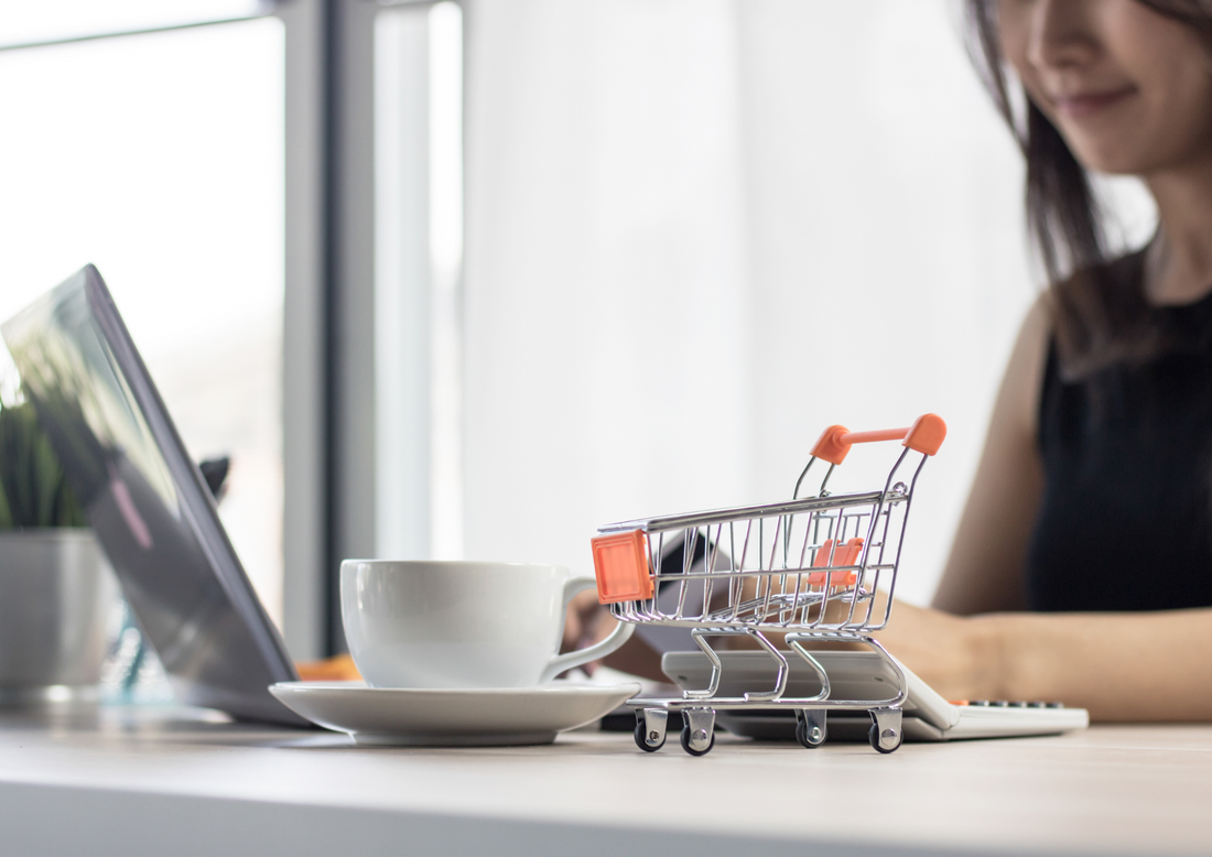 From-Beginner-to-Expert-How-High-Ticket-Dropshipping-Masterclass-Accelerates-Growth eCommerce Paradise