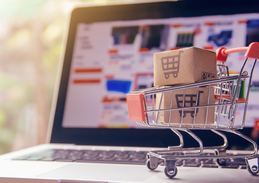 Evaluating-the-Financial-Viability-of-High-Ticket-Dropshipping-vs.-Low-Ticket-Dropshipping eCommerce Paradise