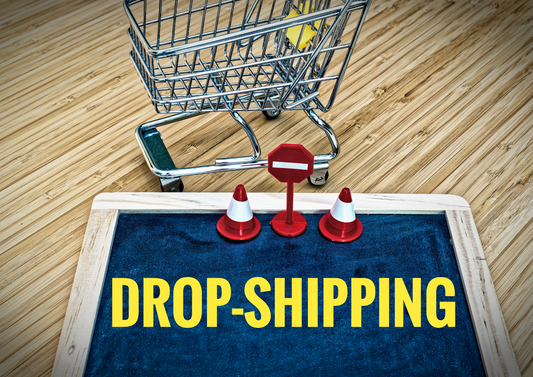 What-is-High-Ticket-Dropshipping eCommerce Paradise