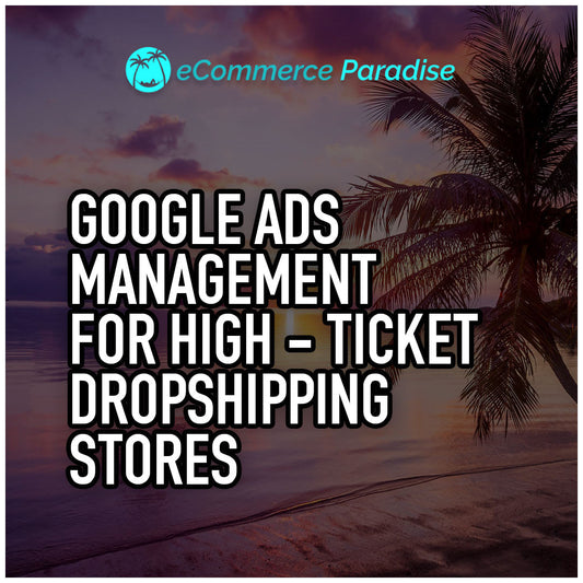 Google Ads Management For High-Ticket Dropshipping Stores: Everything You Need To Know