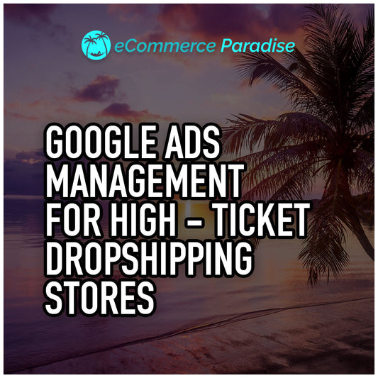 Google Ads Management for High-Ticket Dropshipping Stores