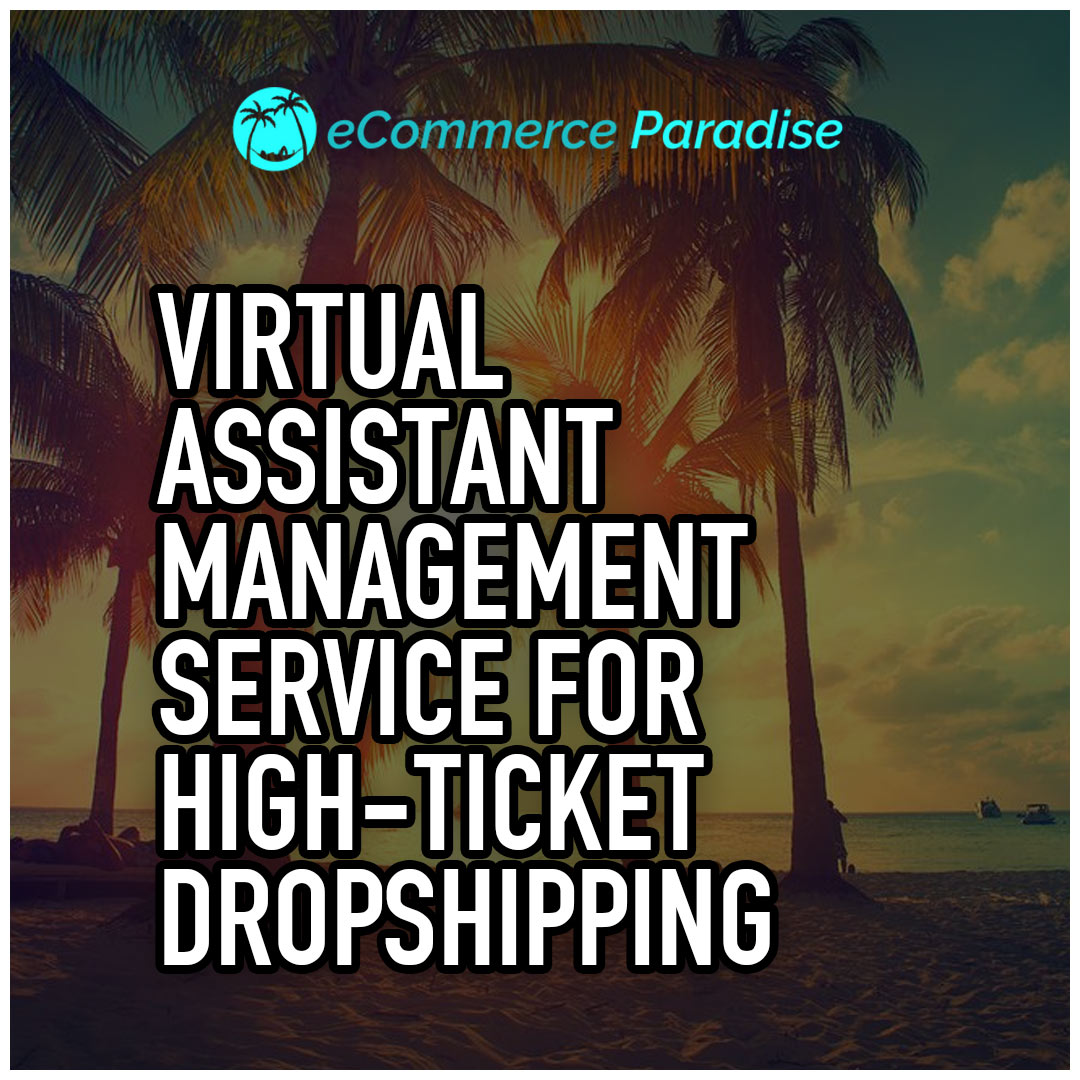 Virtual Assistant Management Service for High-Ticket Dropshipping