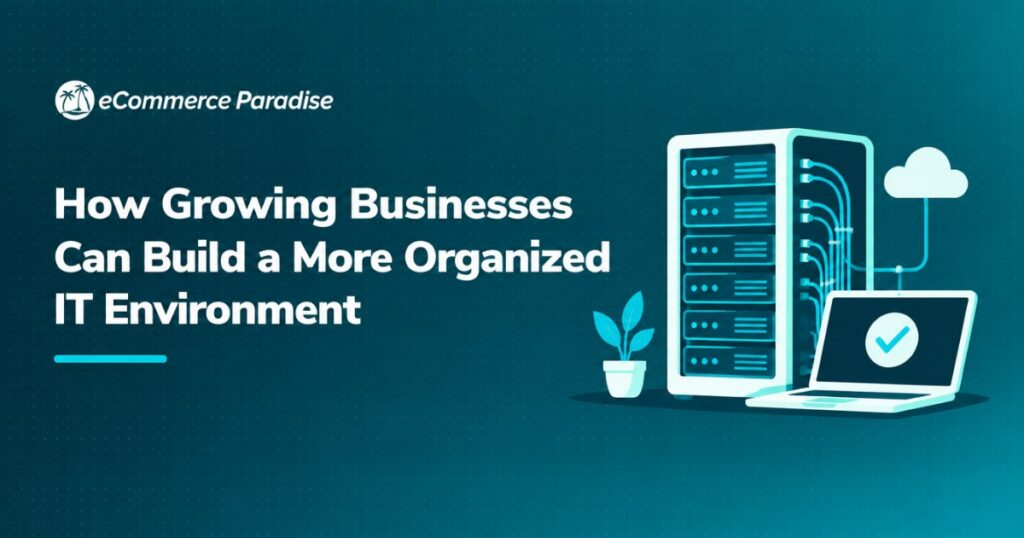 How Growing Businesses Can Build a More Organized IT Environment